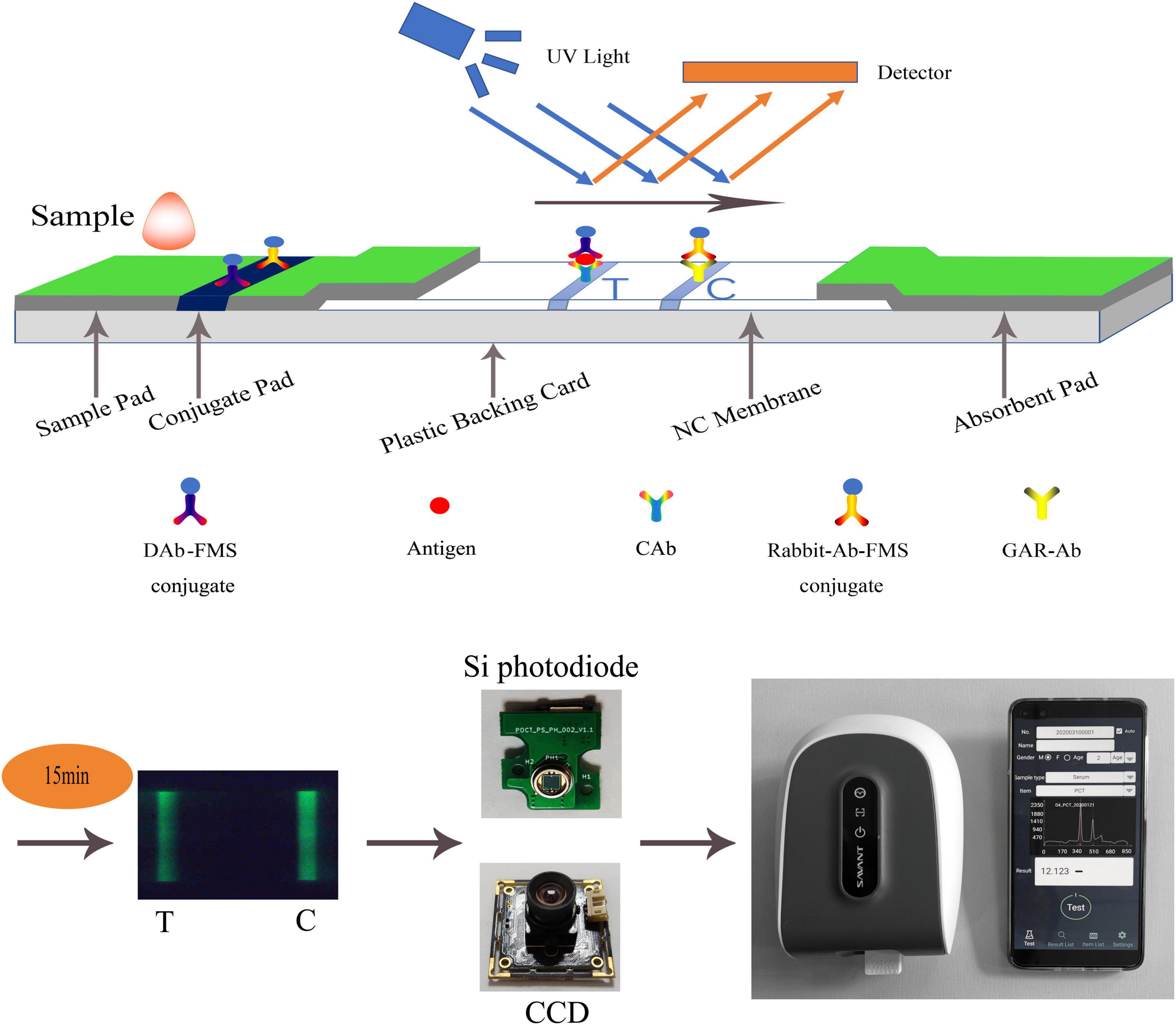 Deep learning on lateral flow immunoassay for the analysis of detection data